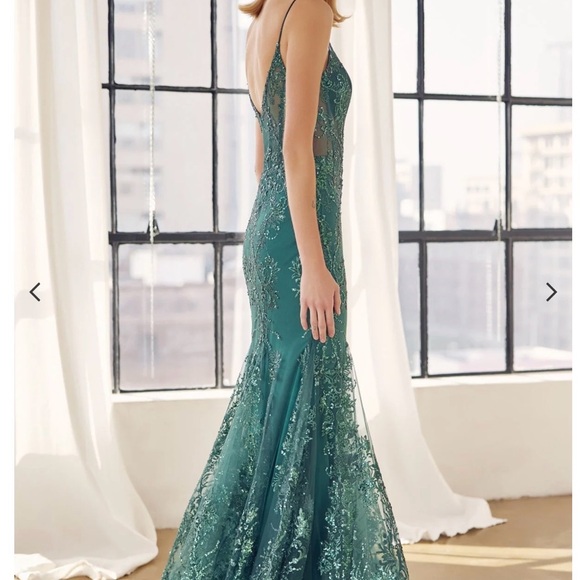 Elegant Green Lace Prom Dress - Picture 10 of 12